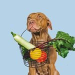 perro con verduras barf